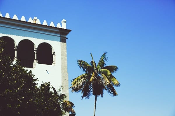 palmier-balcon-palais-de-sintra