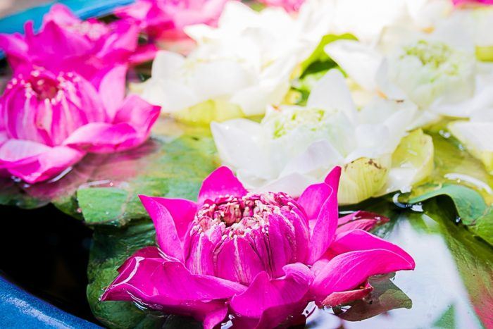 TOP 18 chose à faire en Thaïlande, fleurs, massage thaïlandais