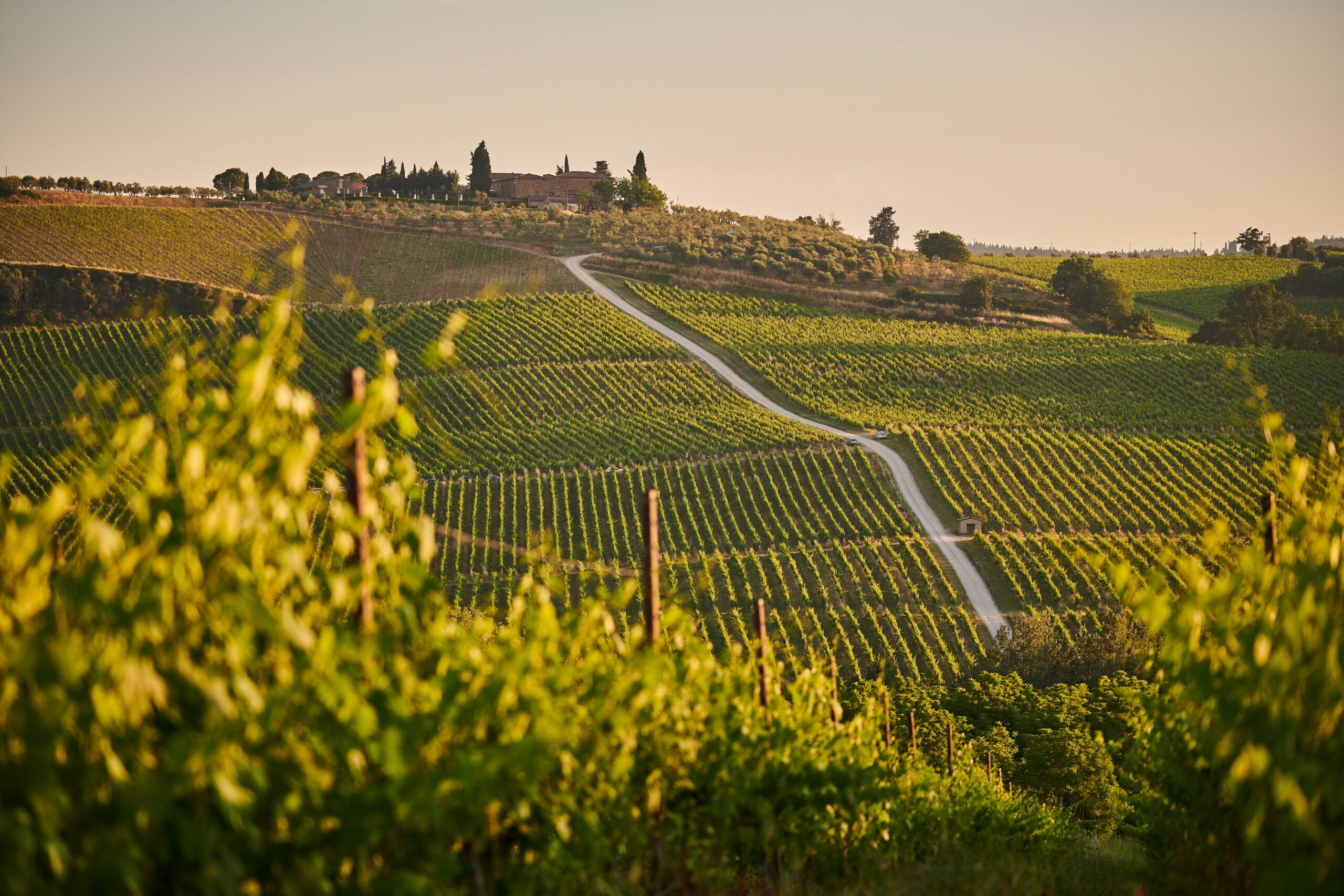 Visiter le chianti depuis Florence