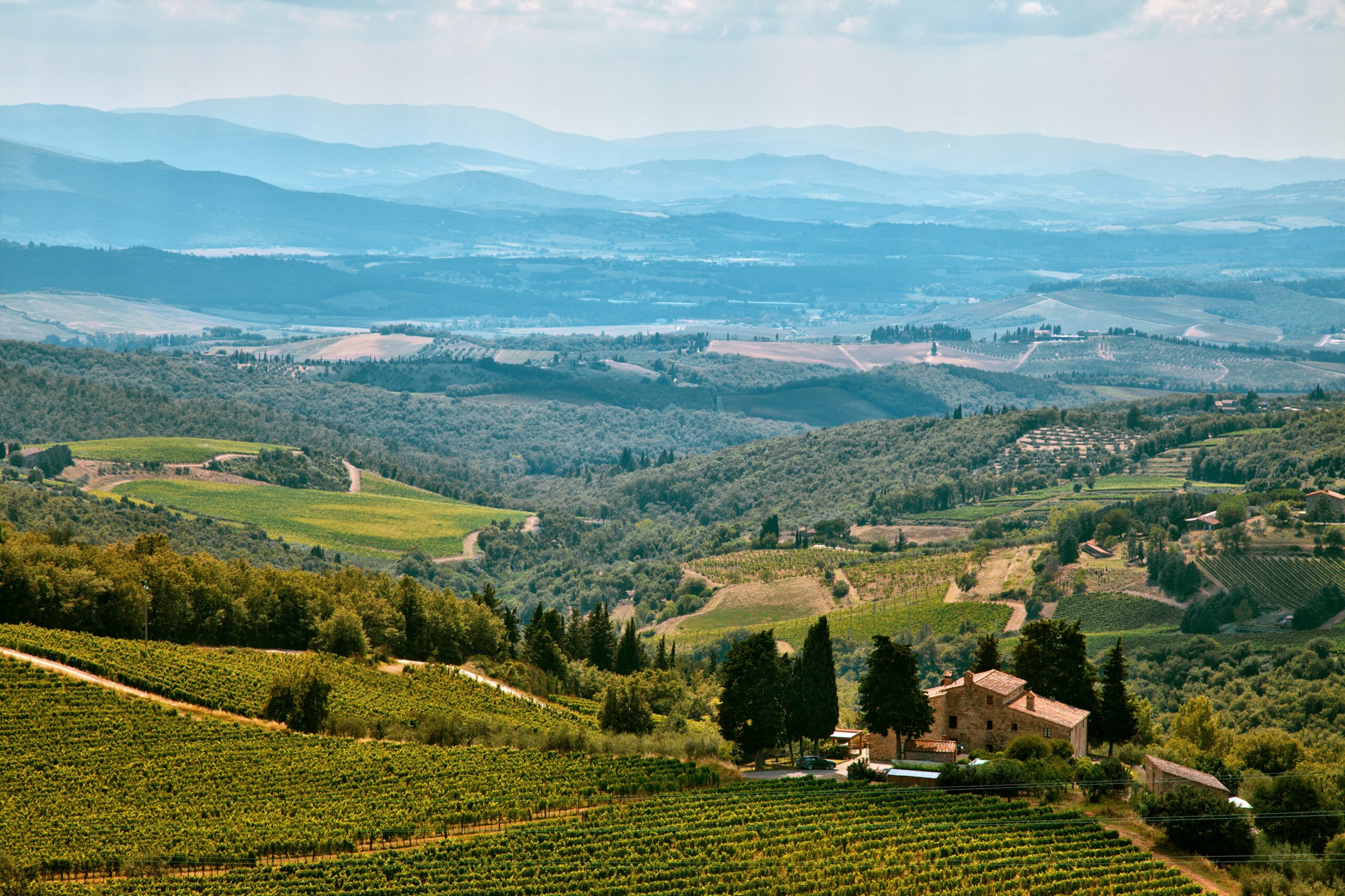 Vin du Chianti à Florence