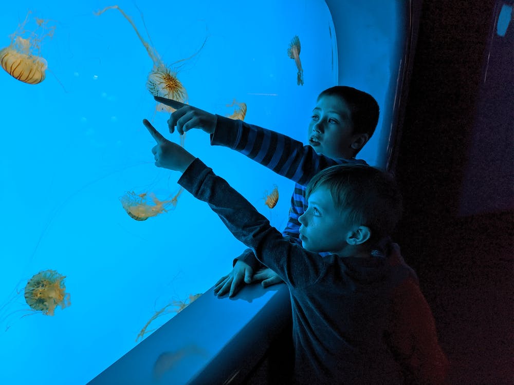 aquarium de seville