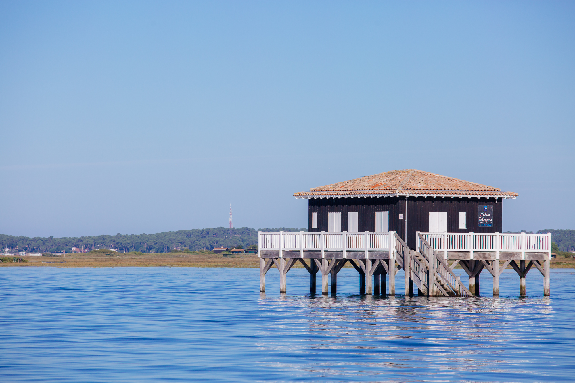 Cabane ile aux oiseaux, bassin d'Arcachon