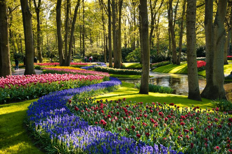 Hôtels de charme à Amsterdam : les 7 incontournables !