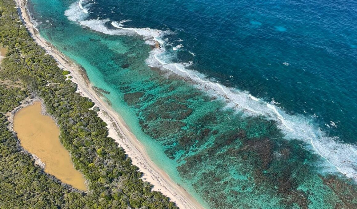 Plage_de_grande_anse_des_salines_Guadeloupe
